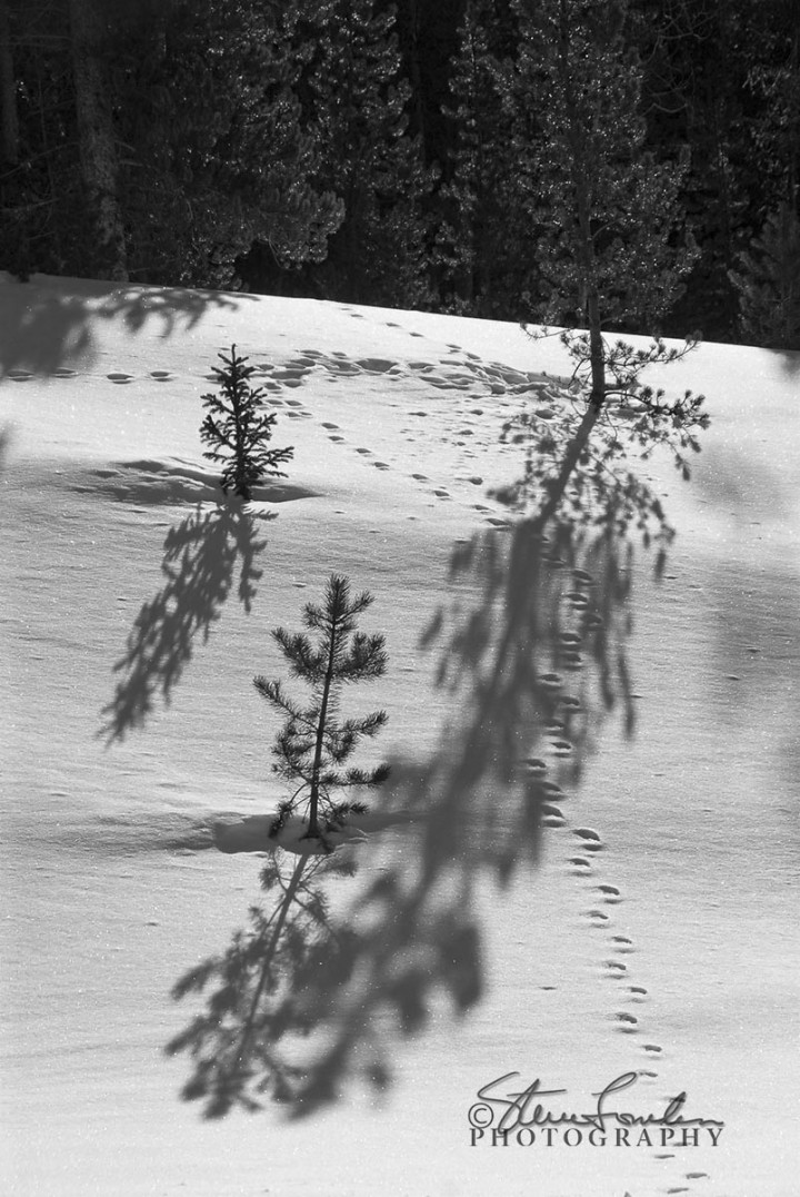 Shadows-Footprints.jpg