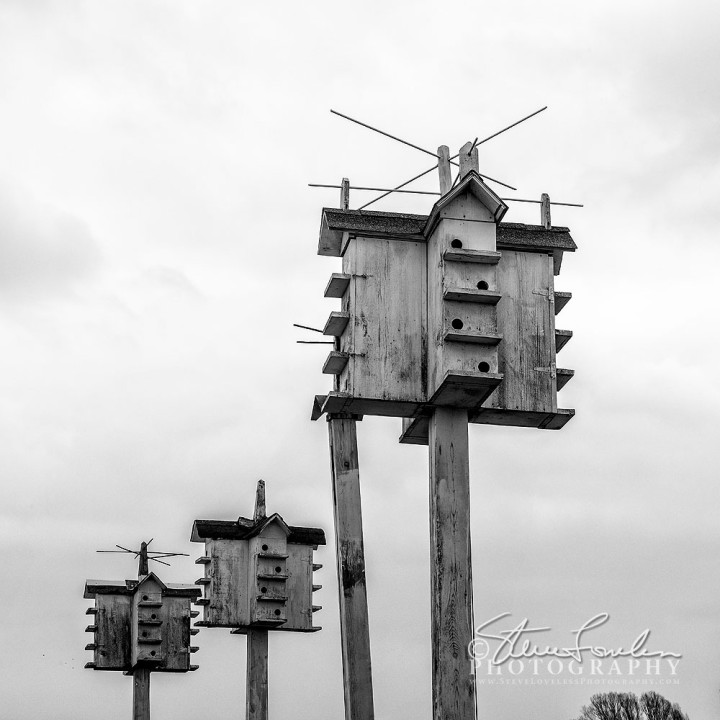 MSC313-Amish-Birdhouses