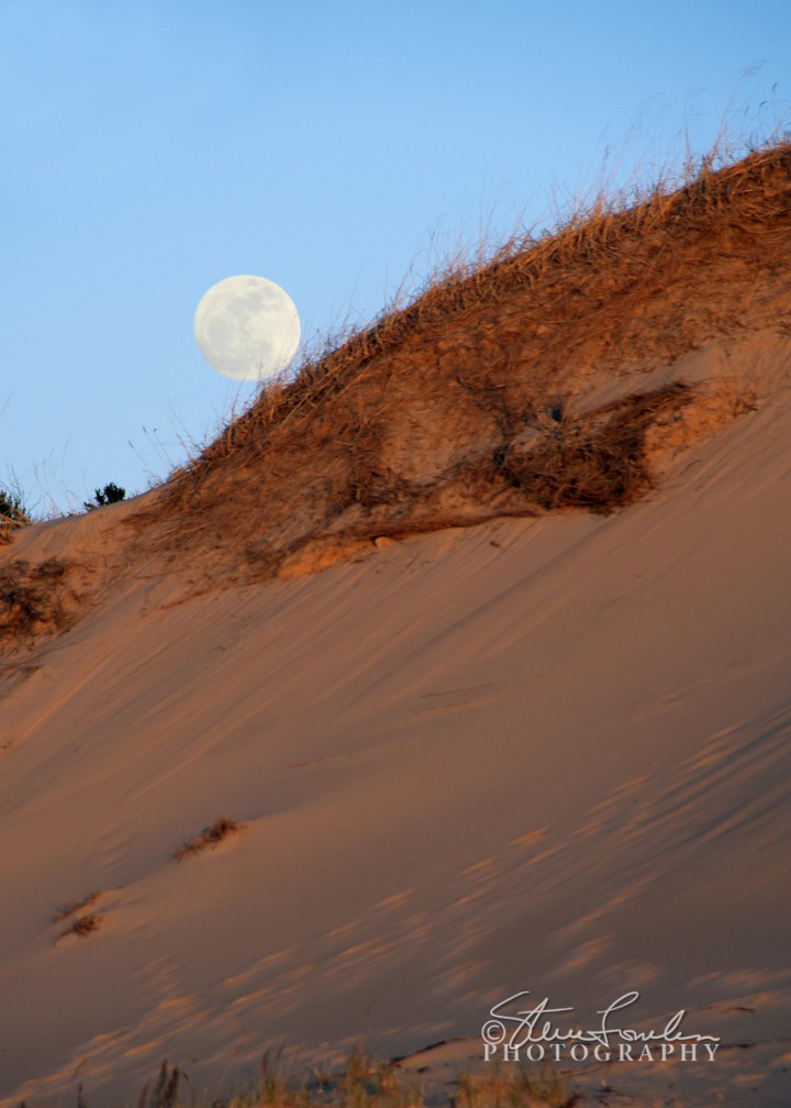 BD127-Dune-Moonrise-1.jpg