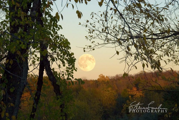 SUN037-Moonrise-10-25-07-1.jpg