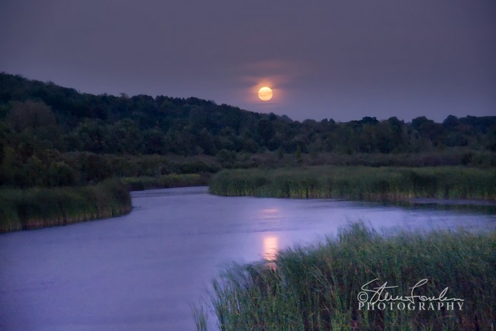 SUN041-Moonrise-over-Betsie-Marsh.jpg