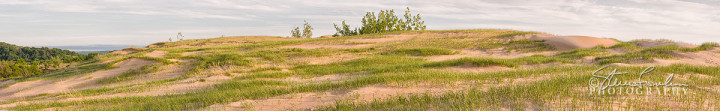 BD331-Late-Afternoon-Dune-Pano-#1-